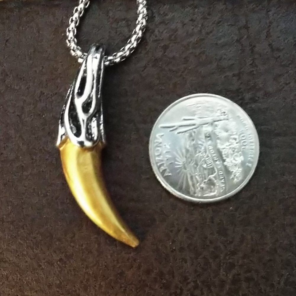 New Stainless Wolf Tooth pendant with Chain - Picture 6 of 14